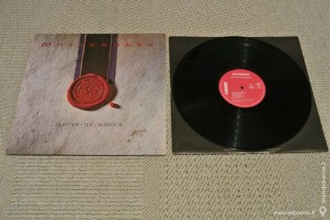 Whitesnake - Slip of the tongue 5 Vanduvre-ls-Nancy (54)