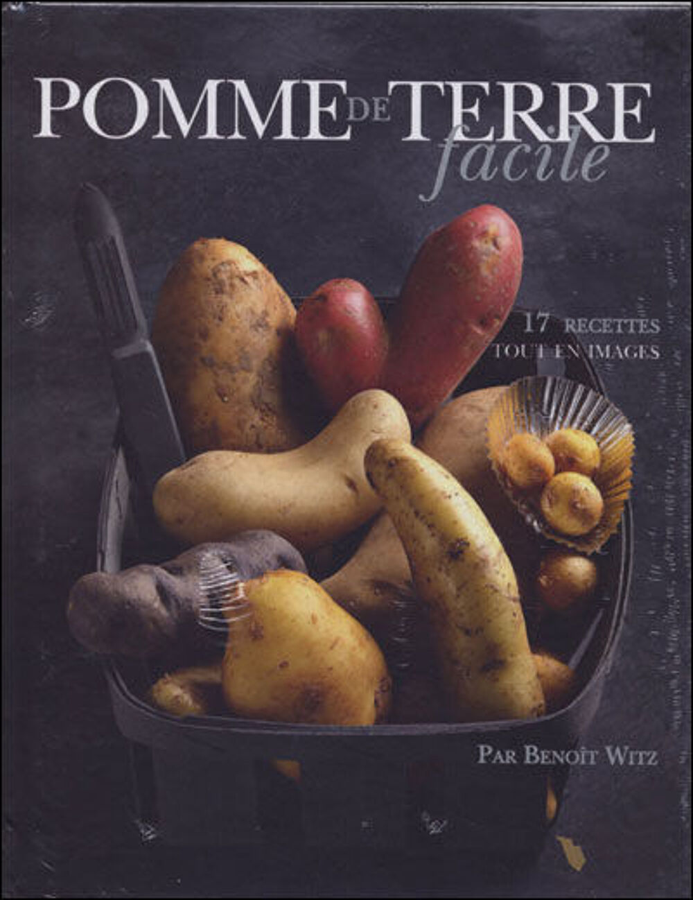 Livre NEUF de recettes "Pomme de terre facile" Livres et BD