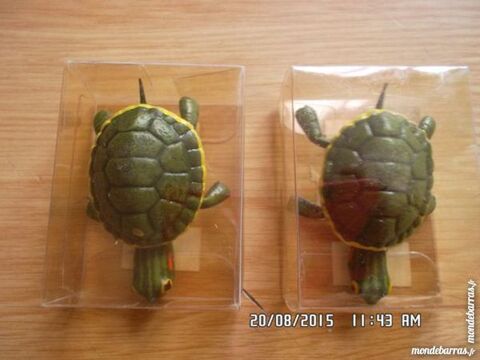 tortue aimantée 3 Chambly (60)