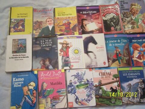 LOT DE DIVERS LIVRES JEUNESSE 28 Issy-les-Moulineaux (92)