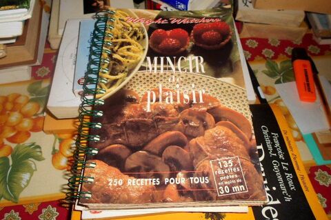 Mincir de plaisir 250 recettes pour tous (Belfond) 10 Monflanquin (47)