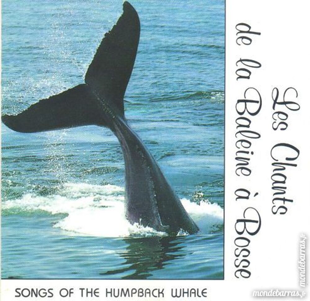 Monde marin Dauphins Baleines CD et vinyles
