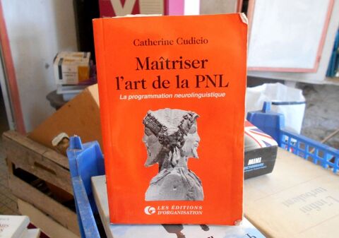 Matriser l'art de la PNL programmation neurolinguistique 5 Monflanquin (47)