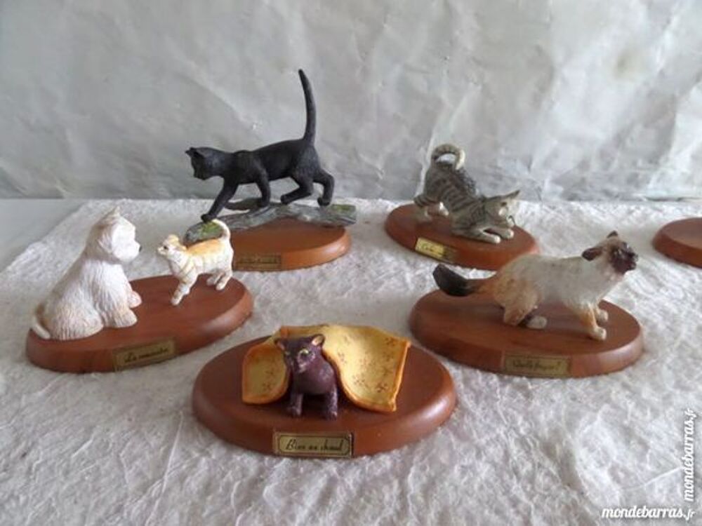 sujets de petits chats 