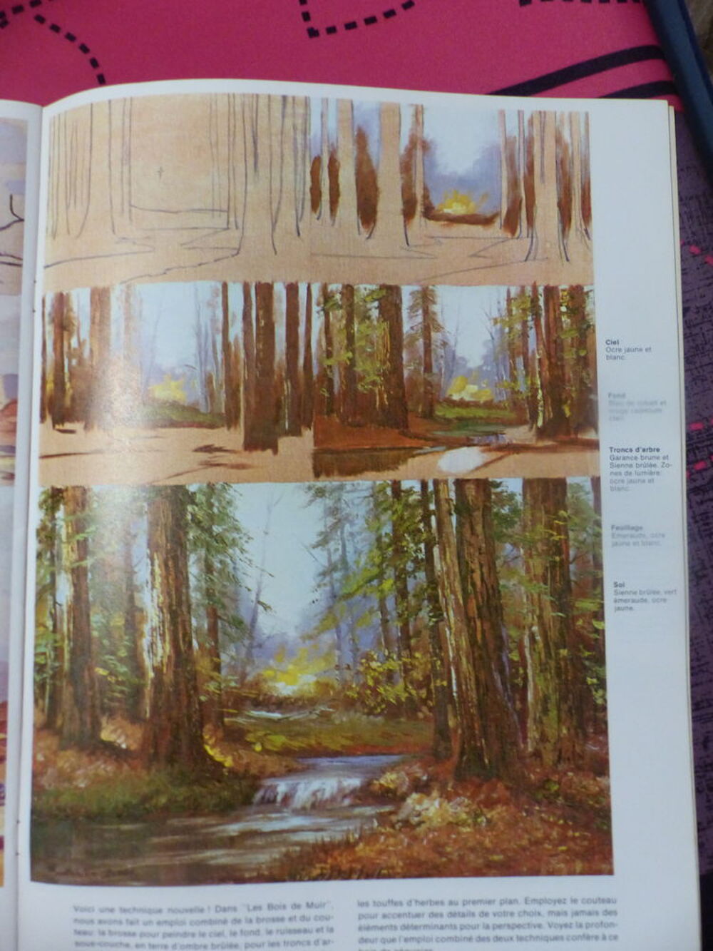 32 PAINTING LESSONS IN OIL Livres et BD