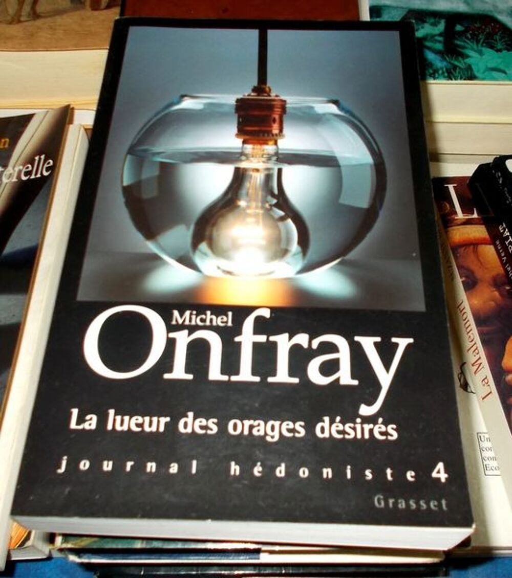 michel onfray la lueur des orages d&eacute;sir&eacute;s Livres et BD