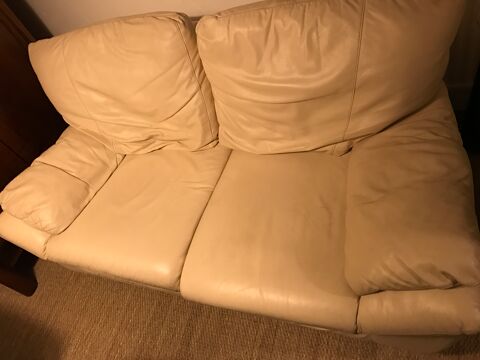 canap cuir 30 Brest (29)