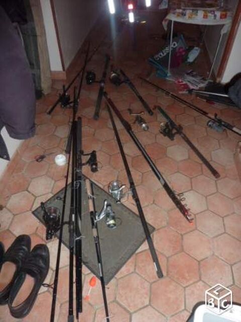 lot 8 cannes  peches + materiel de peche 30 Saint-Di-des-Vosges (88)