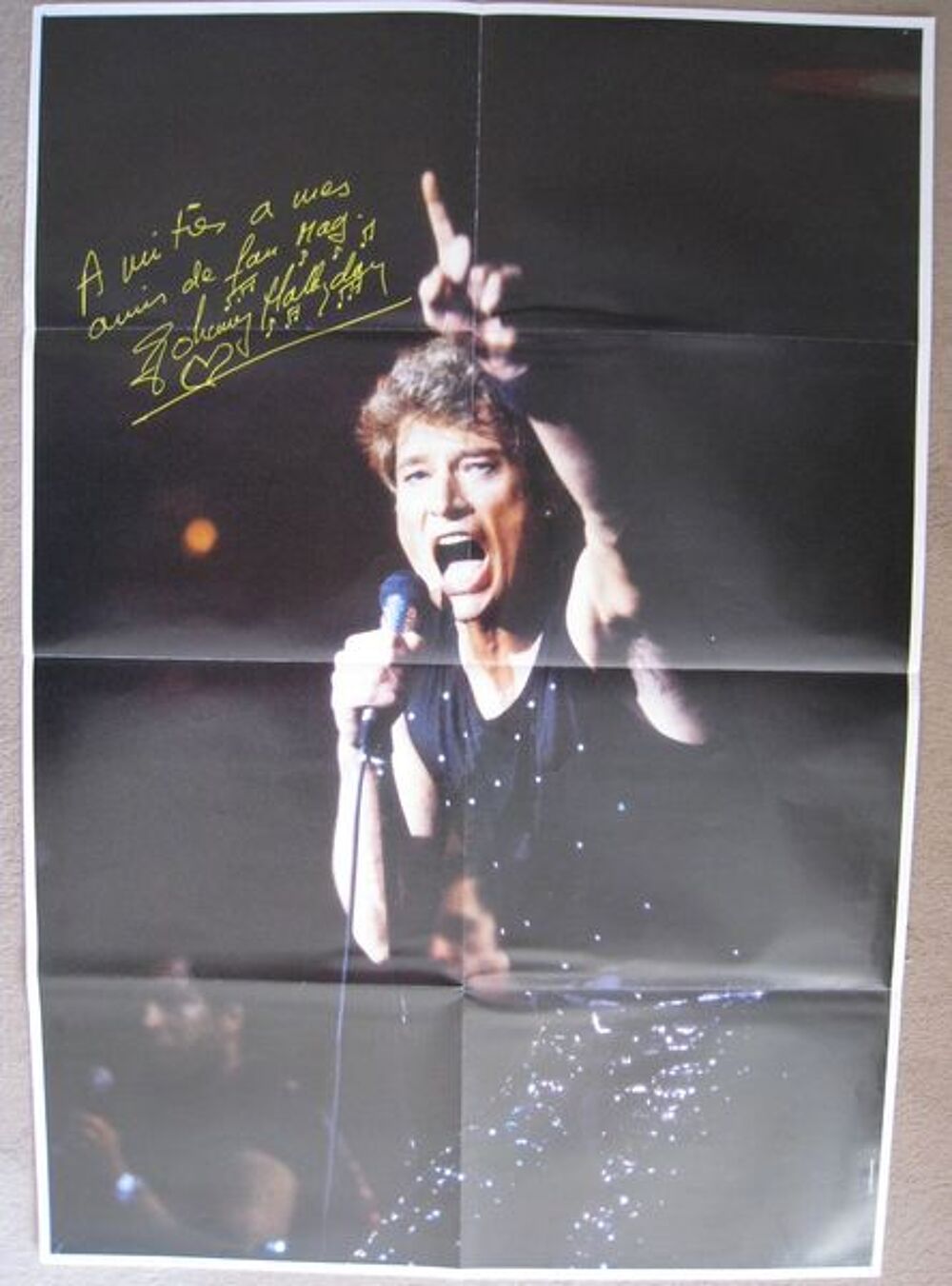 Johnny Hallyday Au Zenith Fan mag CD et vinyles