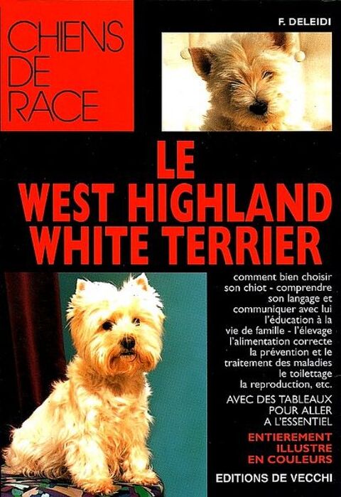 WEST HIGHLAND WHITE TERRIER / prixportcompris 13 Lille (59)