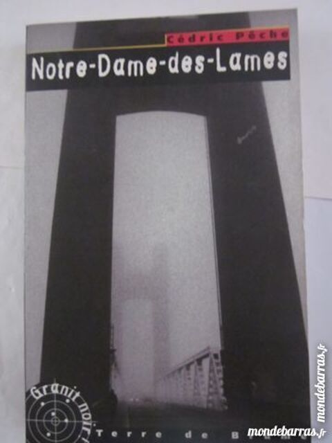 NOTRE DAME DES LAMES policier  TERRE DE BRUME 3 Brest (29)