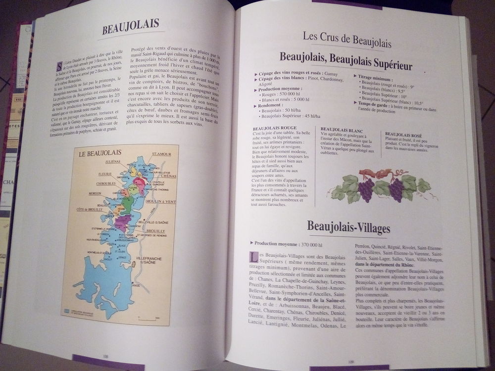 TOUT SAVOIR SUR LE VIN Livres et BD