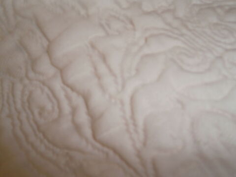 DESSUS DE LIT - 1 PERSONNE - ETAT NEUF - 8 Niort (79)