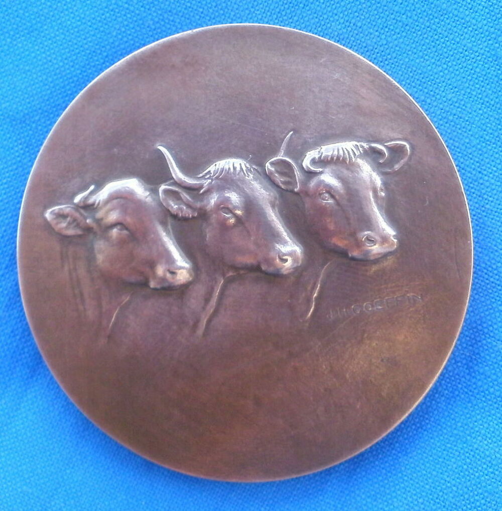 Medaille bronze J H GOEFFIN offert / d&eacute;put&eacute; Tarn et Garonne 