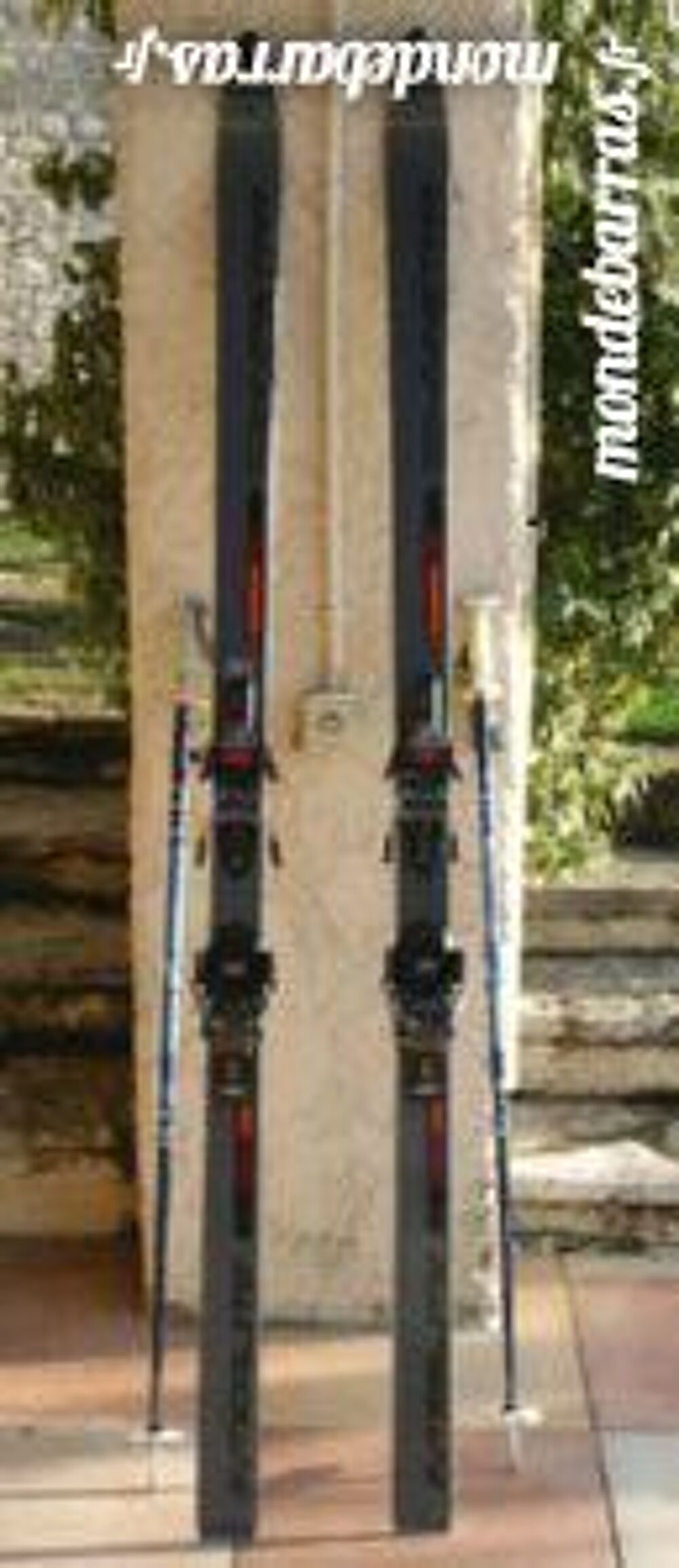 SKIS DYNASTAR FIBRES FIXATION LOOK 1.82 m Sports