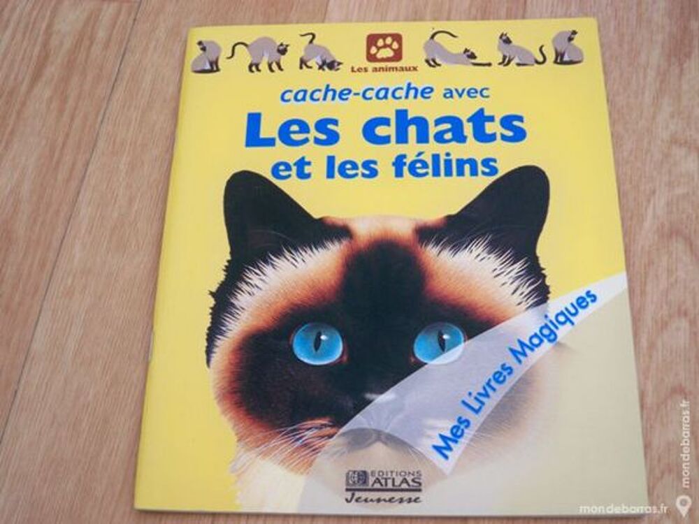 Livre magique Livres et BD