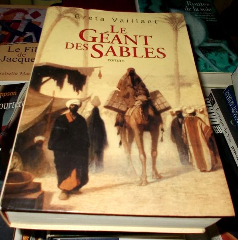 Roman le g&eacute;ant des sables par greta vaillant Livres et BD