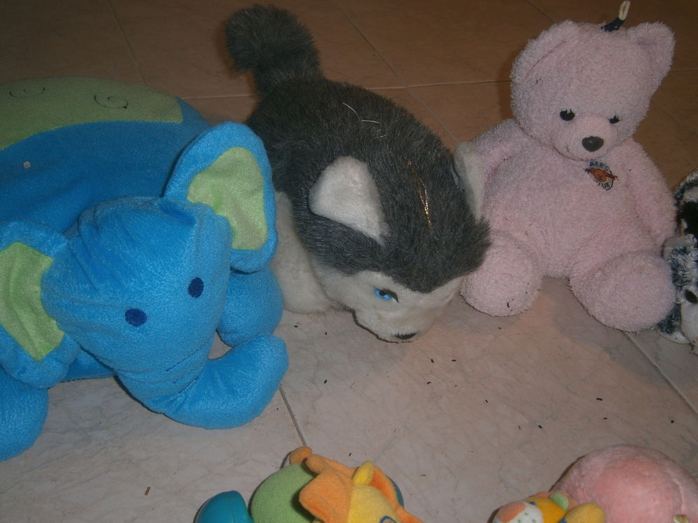 peluches Photos/Video/TV