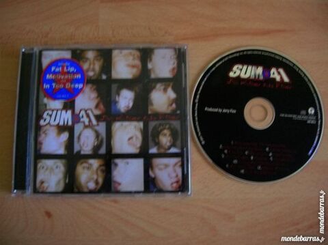 CD SUM 41 All killer no filler 7 Nantes (44)