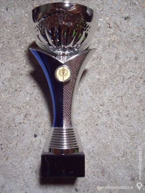 UNE  TRES BELLE COUPE DE VAINQUEUR 5 Crpy-en-Valois (60)