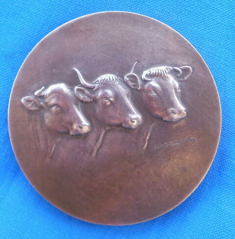 Medaille bronze J H GOEFFIN offert / député Tarn et Garonne 15 Montauban (82)