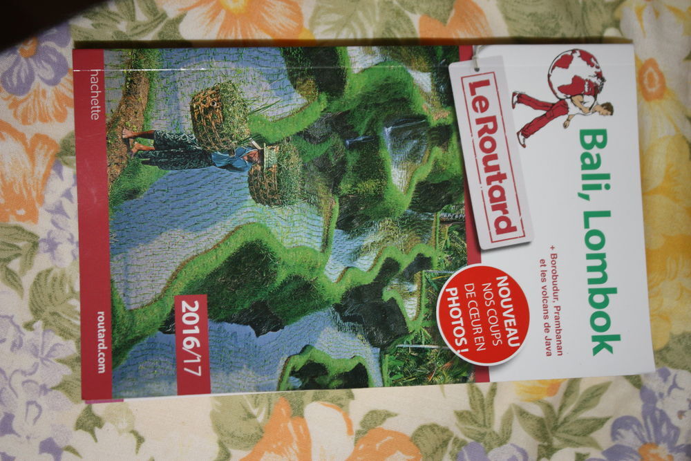 GUIDE DU ROUTARD JAVA BALI LOMBOCK Livres et BD