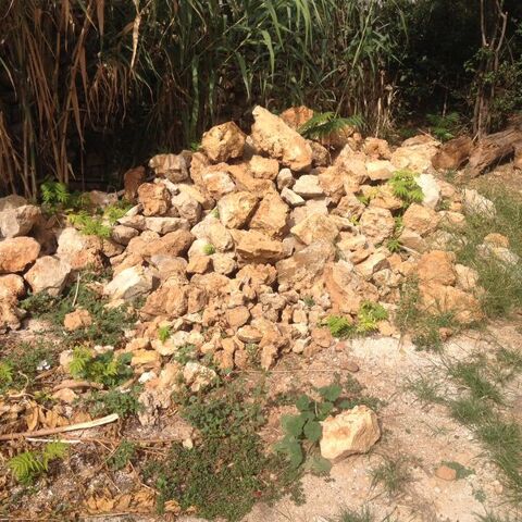 pierres sches 80 Marseille 12 (13)