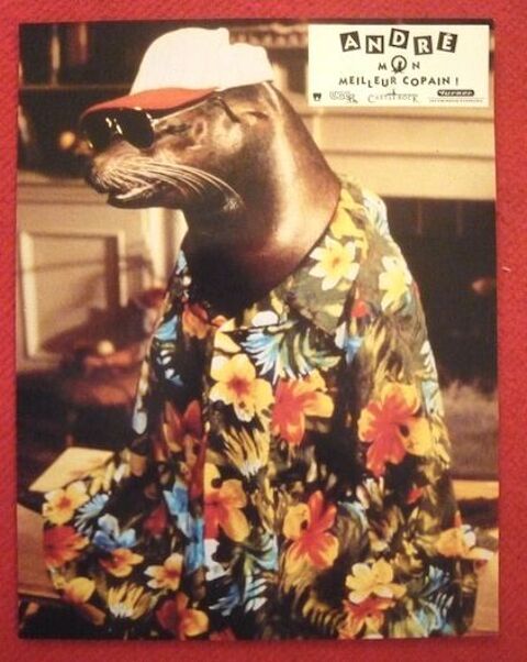 8 photos du film Andr mon meilleur copain (1994) 30 Sucy-en-Brie (94)