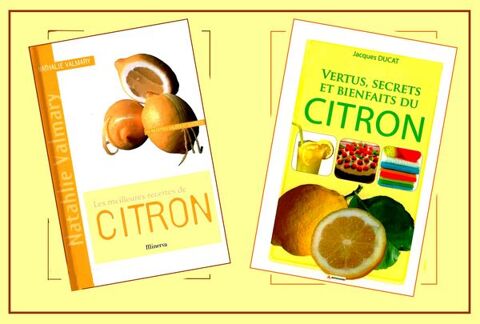 LE CITRON - cuisine et santé / prixportcompris 15 Lille (59)