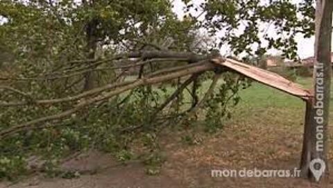 OFFRE BRANCHES D'ARBRE  Paris 18 (75)