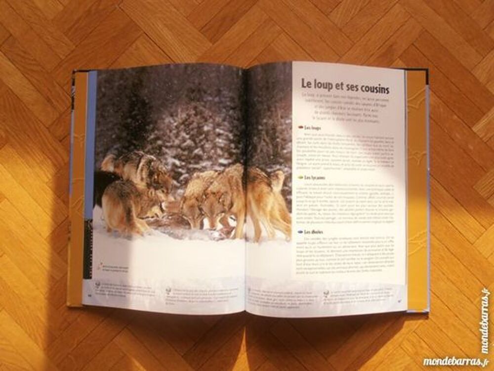 Livre-DVD &laquo;Redoutables pr&eacute;dateurs&raquo; Livres et BD