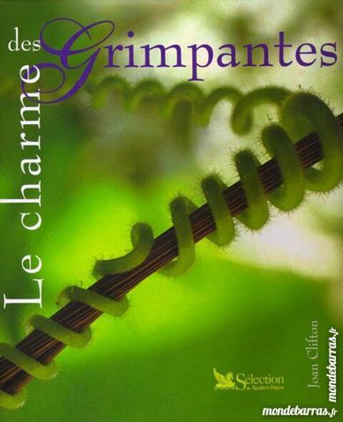 LES PLANTES GRIMPANTES 13 Laon (02)