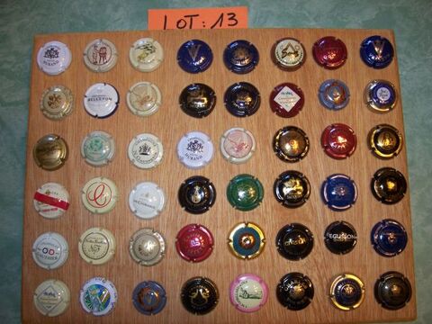 Lot n13 de 48 capsules de collection champagne 19 Richemont (57)