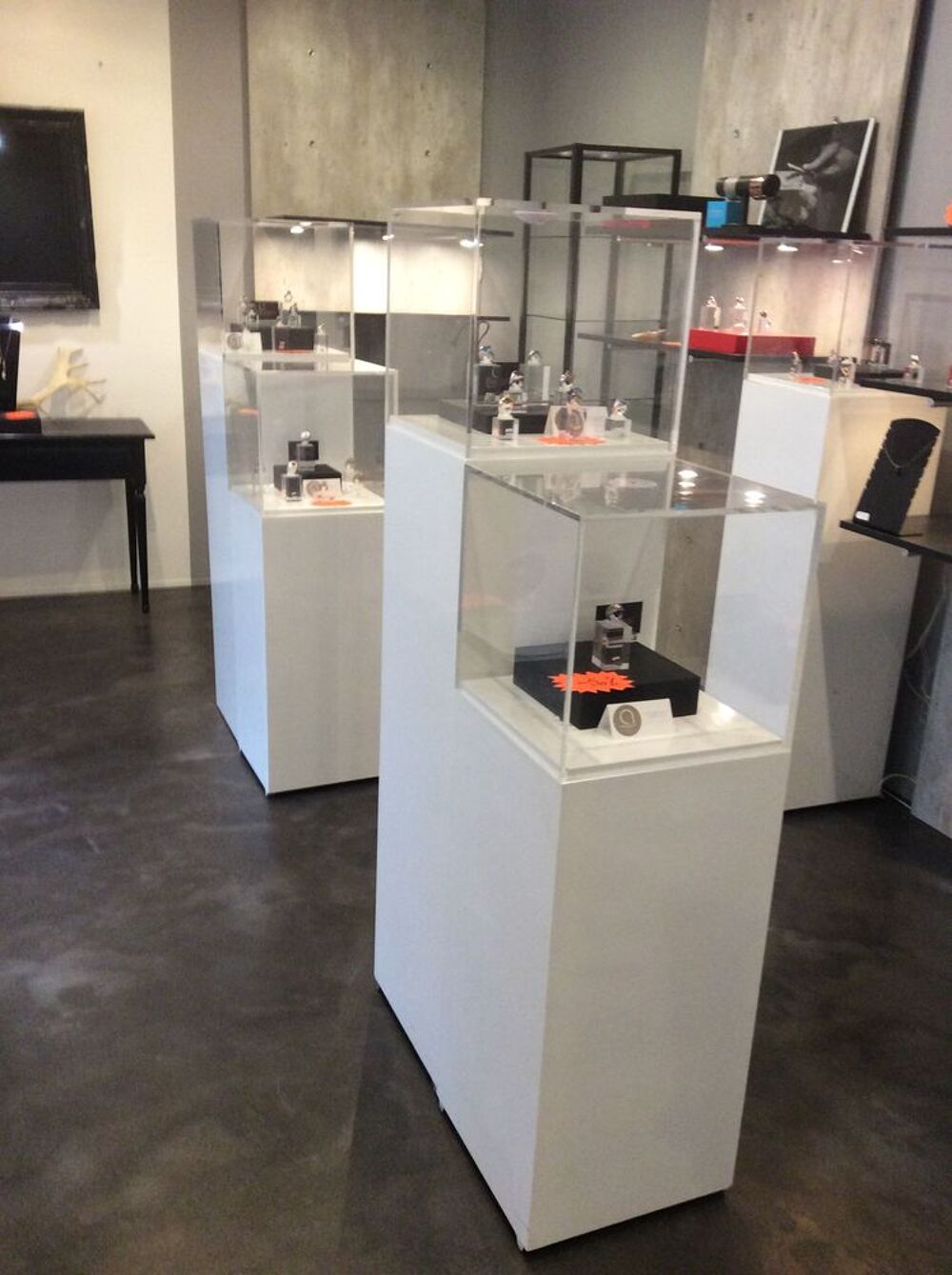 Vitrines d'exposition cloche sur socle Meubles
