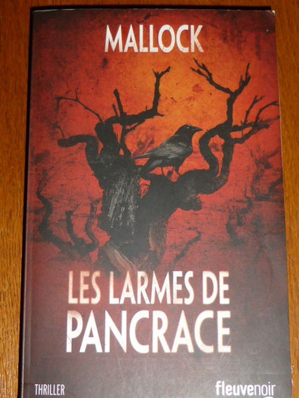 Les larmes de Pancrace - Mallock Livres et BD