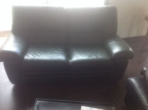 Canape +fauteuil cuir vert anglais 600 Fonbeauzard (31)
