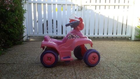 quad dysney 40 Pornichet (44)