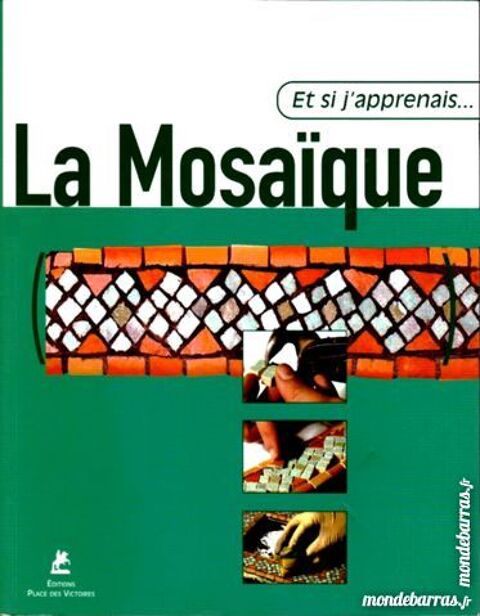 Si j'apprenais la mosa�que 12 Laon (02)