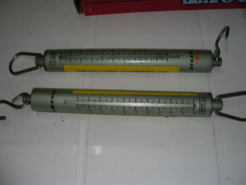 PESONS DE PECHE. 7 Roques (31)