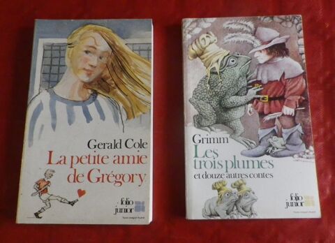 LOT N°2 DE 2 FOLIO JUNIOR 3 Attainville (95)