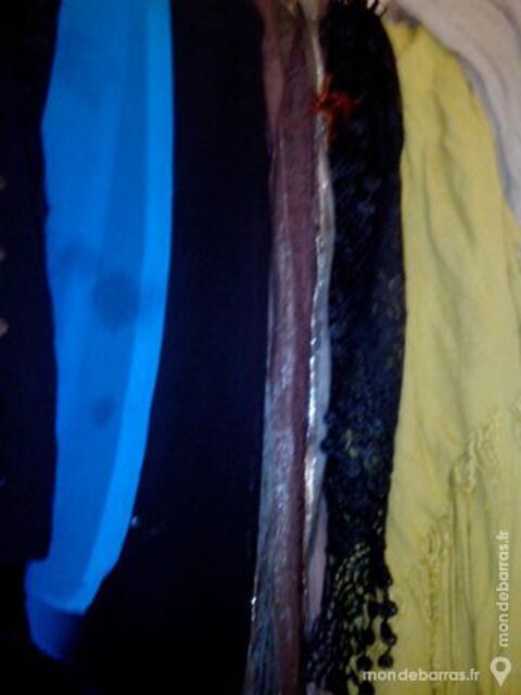 foulards femme 3 Paris 13 (75)