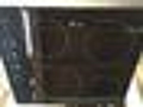 PLAQUE VITROCERAMIQUE 120 Scar (29)