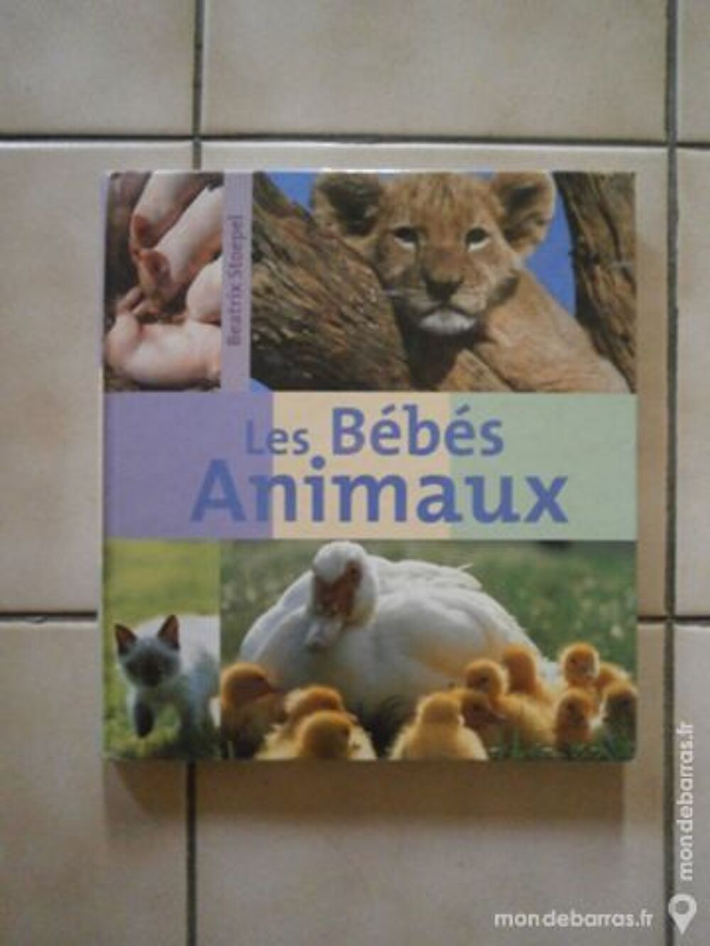 Livre &laquo;Les B&eacute;b&eacute;s Animaux&raquo; Livres et BD