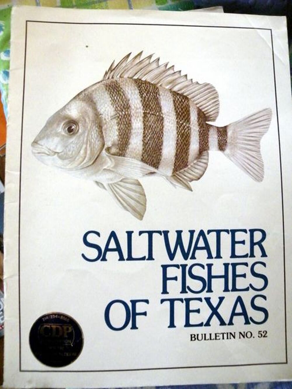 saltwater fishes of texas Livres et BD