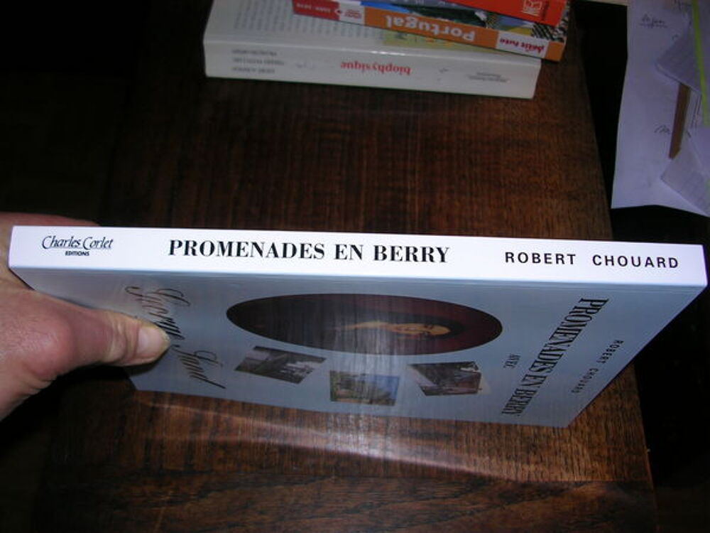 PROMENADES EN BERRY AVEC GEORGE SAND Livres et BD