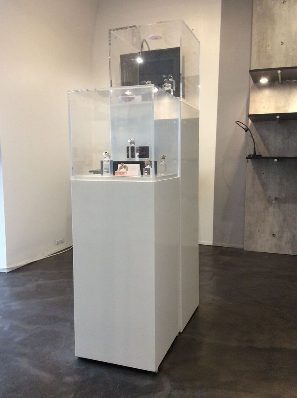 Vitrines d'exposition cloche sur socle Meubles