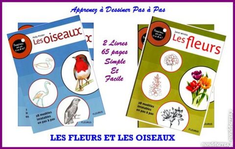 APPRENDRE A DESSINER LES FLEURS ET LES OISEAUX 13 Laon (02)