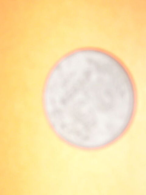 pices collction france 32 Gennevilliers (92)