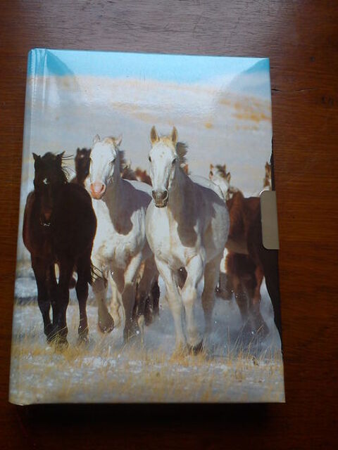 journal intime chevaux neuf 3 Chavenat (16)