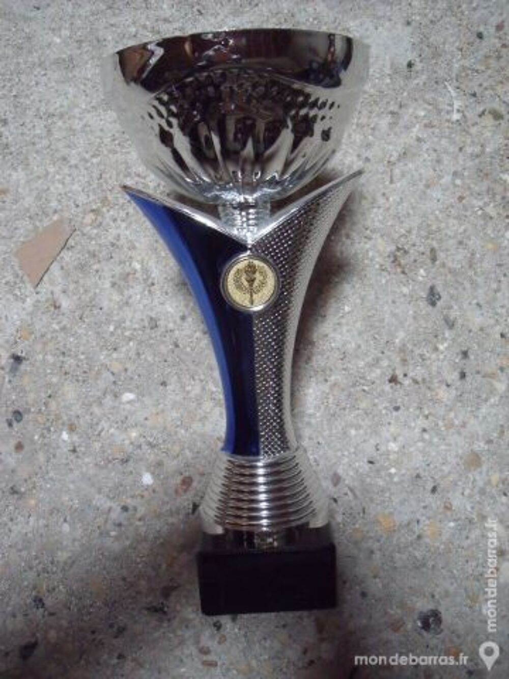 UNE TRES BELLE COUPE DE VAINQUEUR Sports